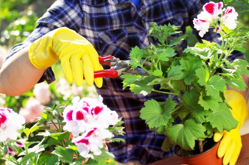 Professional planting services in Ickenham for a front garden border