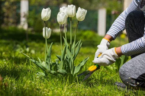 Illustration of cookie settings on the Landscapers Ickenham website