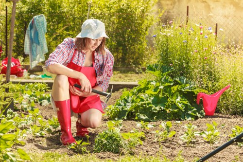Garden maintenance in Ickenham with tidy lawn and shrubs