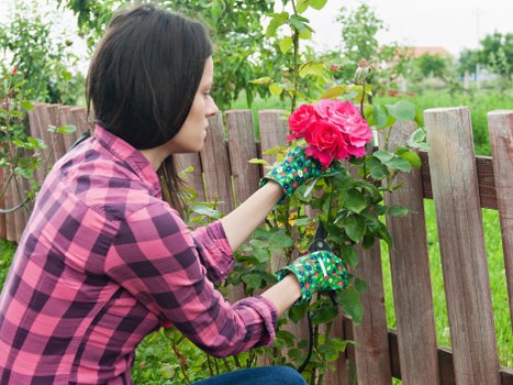 Risk assessment and training for landscaping waste removal