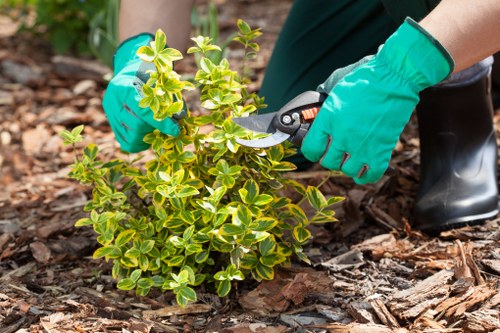 Planning a garden renovation project in Ickenham