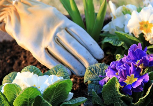 Landscape access and inclusive website support in Ickenham