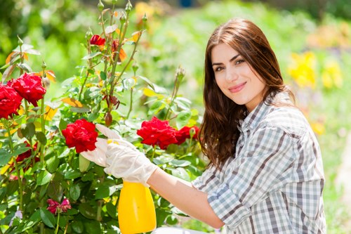 Landscaping complaint procedure with initial issue recording