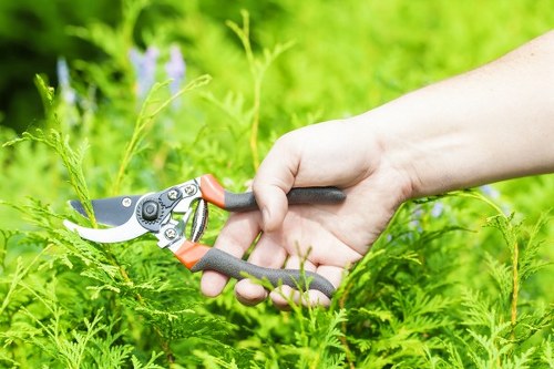 Keyboard navigation and accessible landscaping information