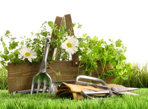 Timber and composite decking material options for Ickenham homes