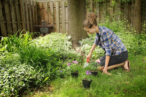 Modern landscaping in Ickenham featuring patio, lawn, and shrubs