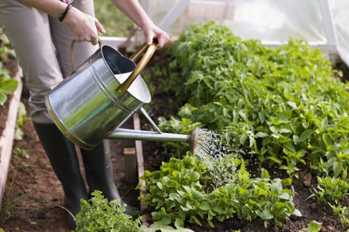 Reviewing a landscaping complaint with documentation and site notes